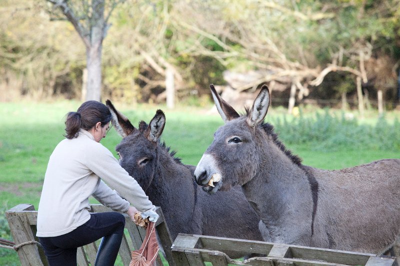 Rando Entre Deux O 2011-2959.jpg